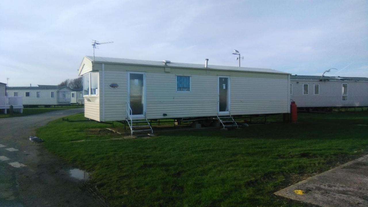 Arizona Family And Dogs Welcome Caravan 3 Bedrooms Rye Exteriör bild